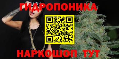 spice Малгобек