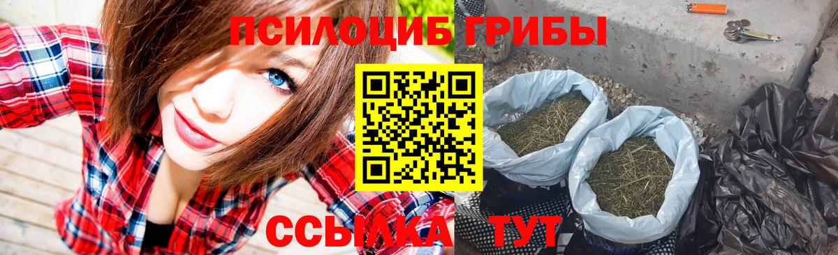 Галлюциногенные грибы MAGIC MUSHROOMS  Вход с VPN  наркотики  Алапаевск 